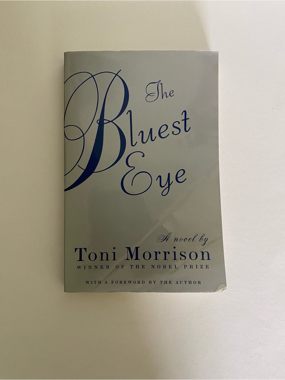 The Bluest Eye a novel by Toni Morrison softcover book
